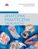 Anatomia praktyczna Układ ruchu