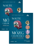 Mózg człowieka Nolte KOMPLET 1-2