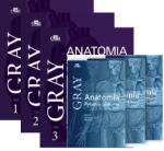 G-22467_23530_150x190