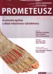PROMETEUSZ Atlas Anatomii Człowieka. Tom I. Anatomia ogólna i układ mięśniowo -szkieletowy. Nomenklatura Angielska