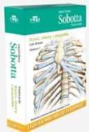 G-27401_15674_150x190