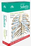 G-27402_15675_150x190