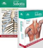 G-28455_16930_150x190