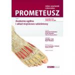 PROMETEUSZ atlas anatomii człowieka. Tom 1, wyd. III. Mianownictwo angielskie i polskie