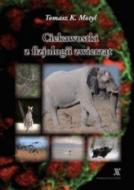 G-31529_20572_150x190