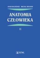 G-34172_23393_150x190