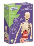 Ciało ludzkie mini 