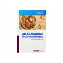 Atlas anatomii splotu ramiennego okresu prenatalnego