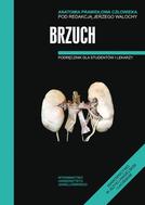 G-anatomia-prawidlowa-czlowieka-brzuch_12291_150x190