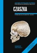 G-anatomia-prawidlowa-czlowieka-czaszka_12307_150x190
