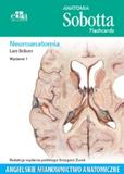 Anatomia Sobotta Flashcards Neuroanatomia Angielskie mianownictwo anatomiczne