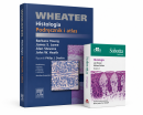 Histologia Podręcznik i atlas Wheater + SOBOTTA Flashcards Histologia KOMPLET