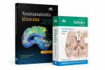 Neuroanatomia kliniczna + Anatomia Sobotta Flashcards. Neuroanatomia Angielskie mianownictwo anatomiczne